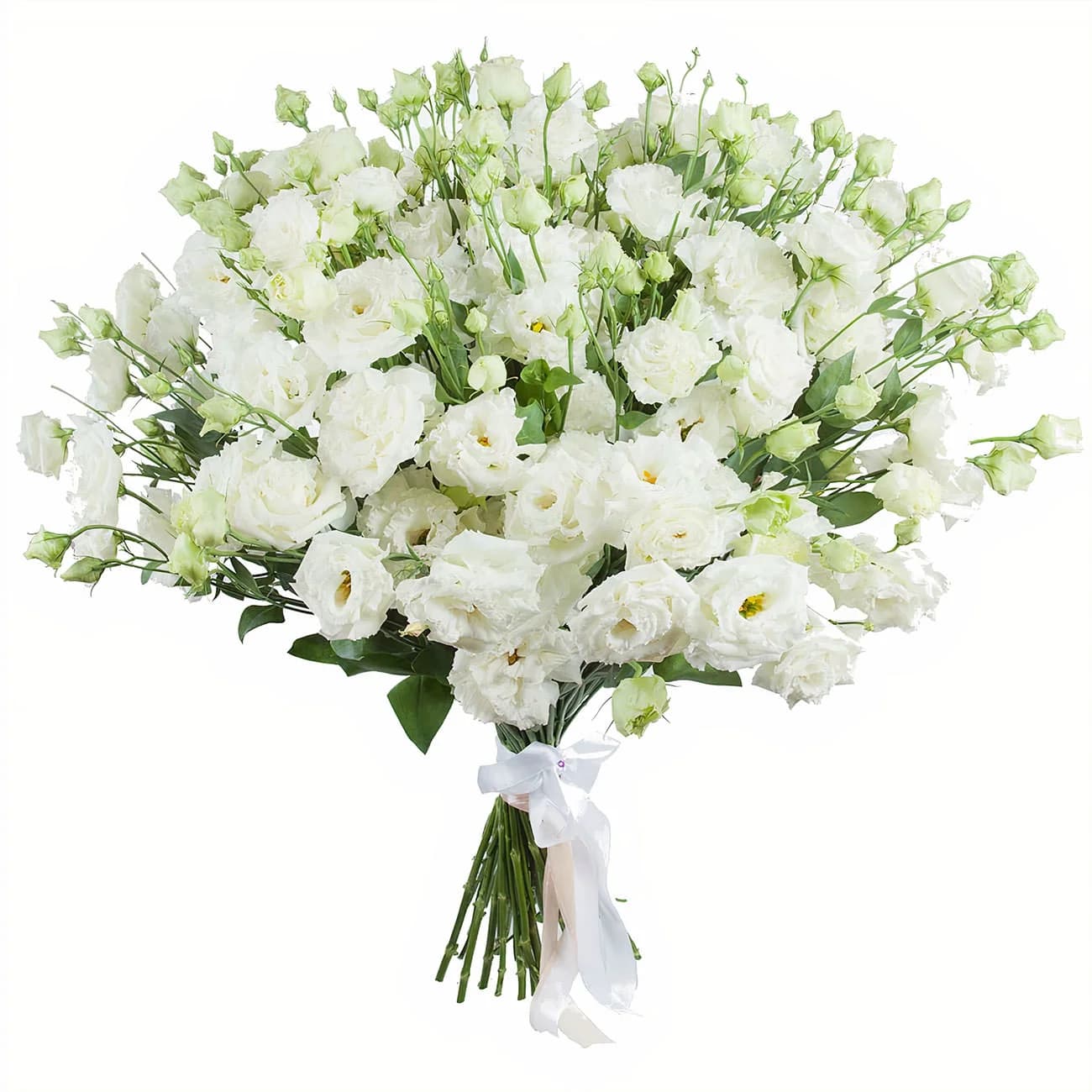 White Eustoma